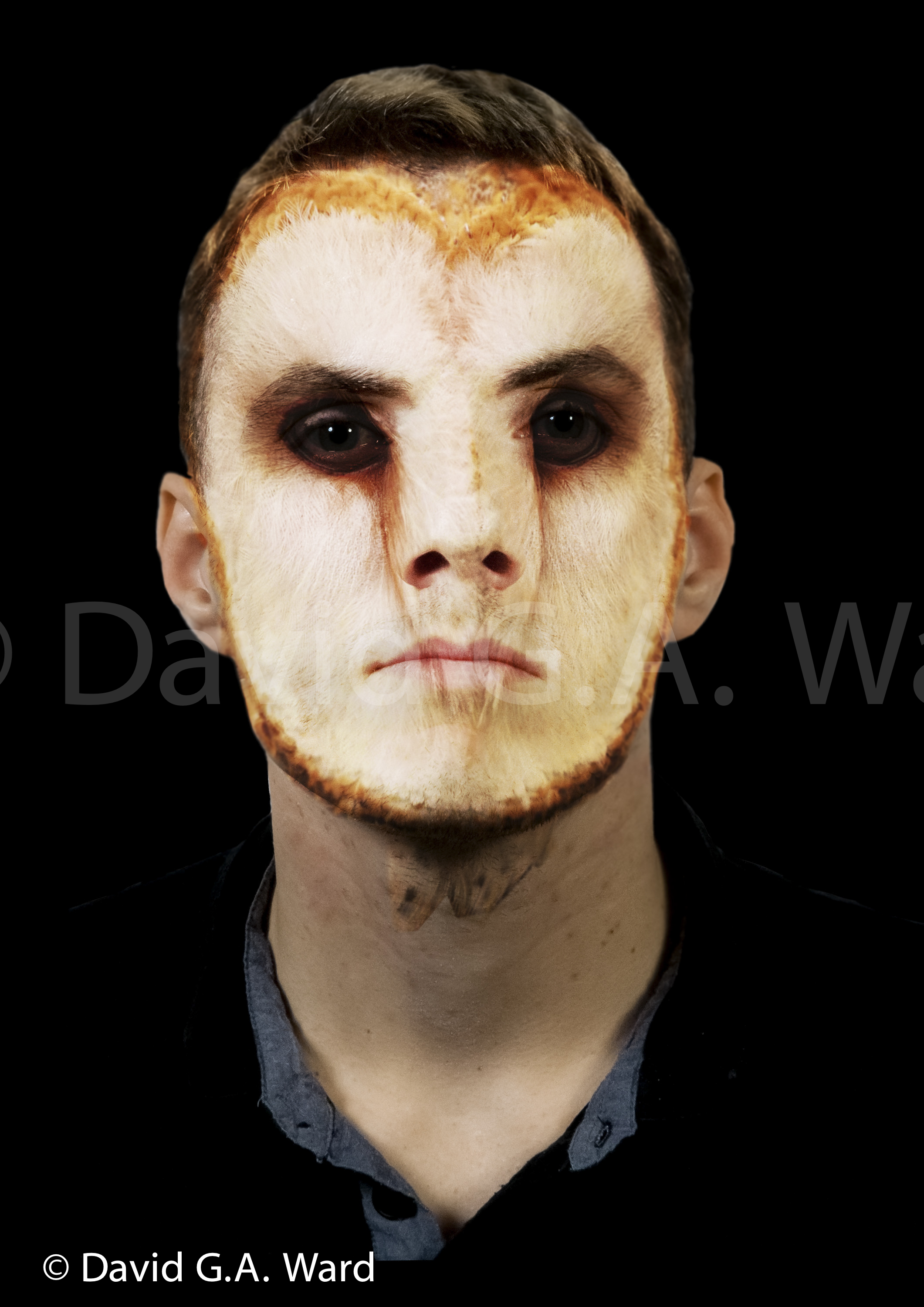 What lies beneath: - Created for a Constructed Image course at UCA Farnham. Through the research I undertook for the work I was inspired to find a way to portray the hidden self (the animal) in photography. A self that man has thought hard to suppress because of the danger it might pose on others and the danger of giving too much of yourself away. You would prefer to stay behind the human mask rather than letting out your true self.